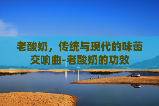 老酸奶，传统与现代的味蕾交响曲-老酸奶的功效