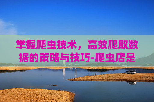 掌握爬虫技术，高效爬取数据的策略与技巧-爬虫店是什么意思