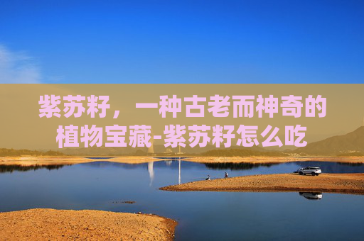 紫苏籽，一种古老而神奇的植物宝藏-紫苏籽怎么吃