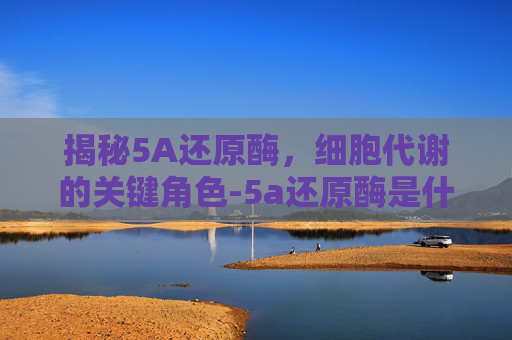揭秘5A还原酶，细胞代谢的关键角色-5a还原酶是什么东西