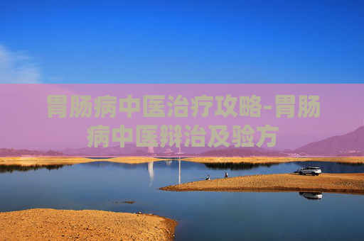 胃肠病中医治疗攻略-胃肠病中医辩治及验方