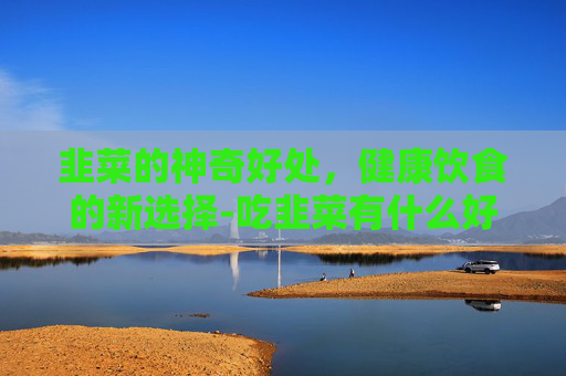 韭菜的神奇好处，健康饮食的新选择-吃韭菜有什么好处的功效