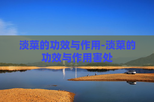 淡菜的功效与作用-淡菜的功效与作用害处