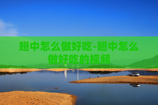 翅中怎么做好吃-翅中怎么做好吃的视频