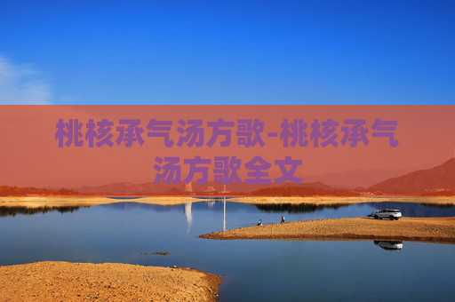 桃核承气汤方歌-桃核承气汤方歌全文