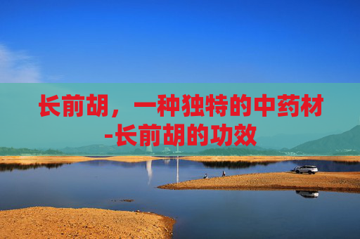 长前胡，一种独特的中药材-长前胡的功效