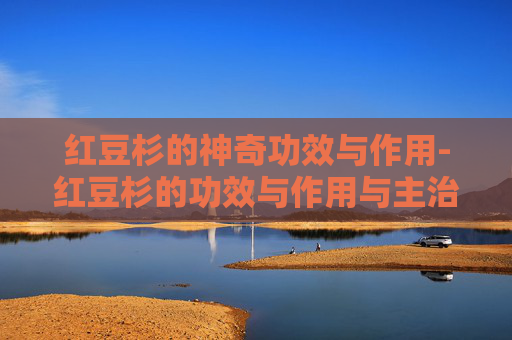 红豆杉的神奇功效与作用-红豆杉的功效与作用与主治