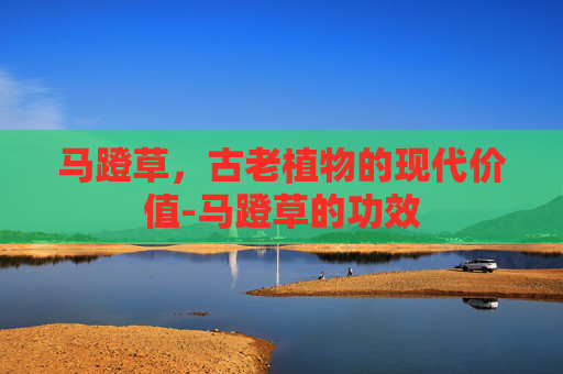 马蹬草，古老植物的现代价值-马蹬草的功效