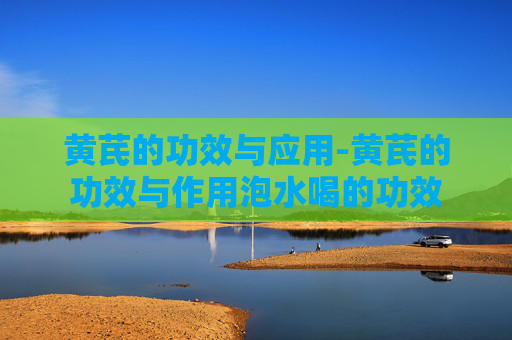 黄芪的功效与应用-黄芪的功效与作用泡水喝的功效