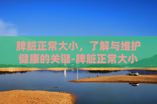 脾脏正常大小，了解与维护健康的关键-脾脏正常大小是多少mm