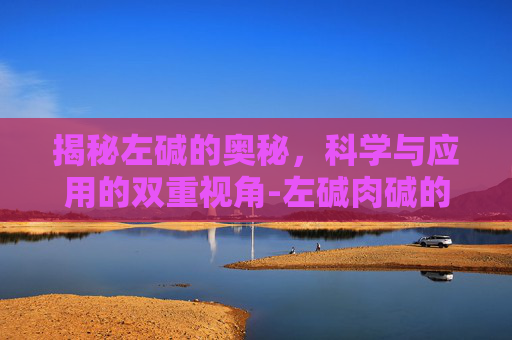 揭秘左碱的奥秘，科学与应用的双重视角-左碱肉碱的作用