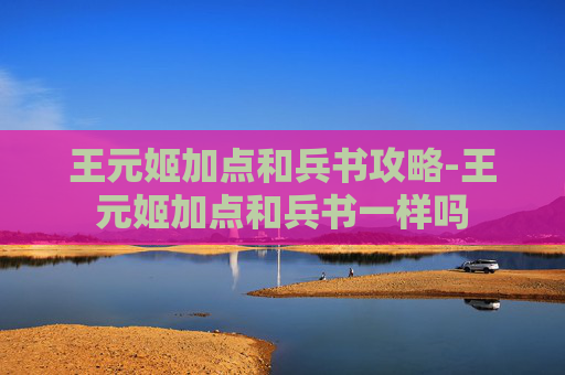 王元姬加点和兵书攻略-王元姬加点和兵书一样吗