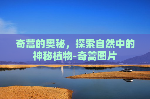 奇蒿的奥秘，探索自然中的神秘植物-奇蒿图片