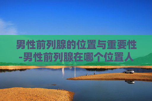 男性前列腺的位置与重要性-男性前列腺在哪个位置人体示意图?