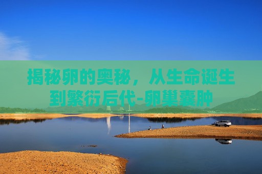 揭秘卵的奥秘，从生命诞生到繁衍后代-卵巢囊肿