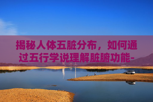 揭秘人体五脏分布，如何通过五行学说理解脏腑功能-人体五脏分布图 彩图