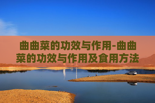 曲曲菜的功效与作用-曲曲菜的功效与作用及食用方法