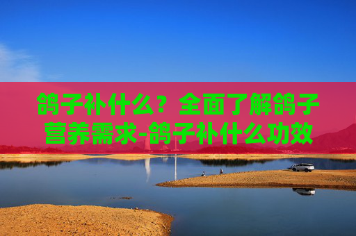 鸽子补什么？全面了解鸽子营养需求-鸽子补什么功效与作用