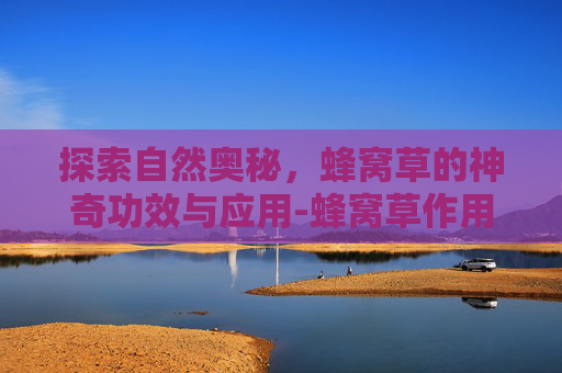 探索自然奥秘,蜂窝草的神奇功效与应用-蜂窝草作用与功效 探索自然奥秘,蜂窝草的神奇功效与应用-蜂窝草作用与功效