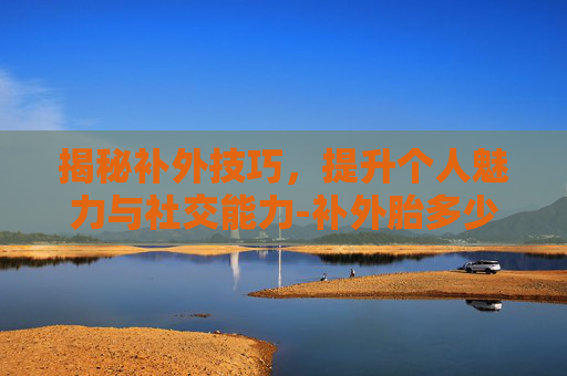 揭秘补外技巧，提升个人魅力与社交能力-补外胎多少钱