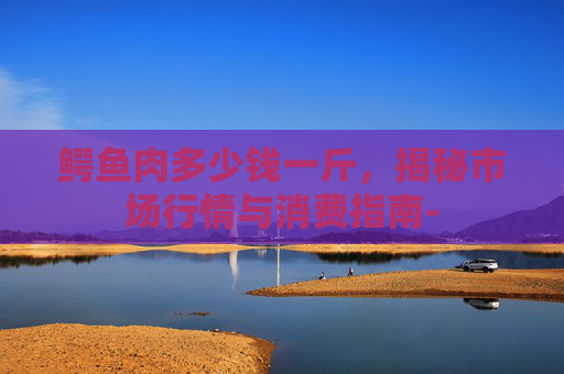 鳄鱼肉多少钱一斤，揭秘市场行情与消费指南-