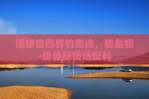 揭秘自然界的奇迹，膨鱼鳃-膨鱼鳃煲汤配料