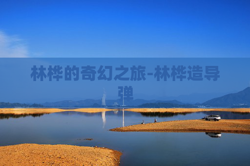 林桦的奇幻之旅-林桦造导弹