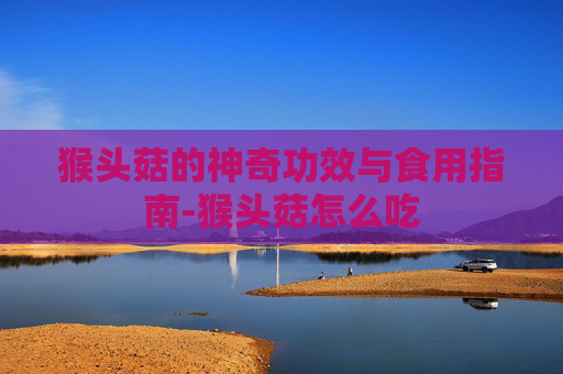 猴头菇的神奇功效与食用指南-猴头菇怎么吃