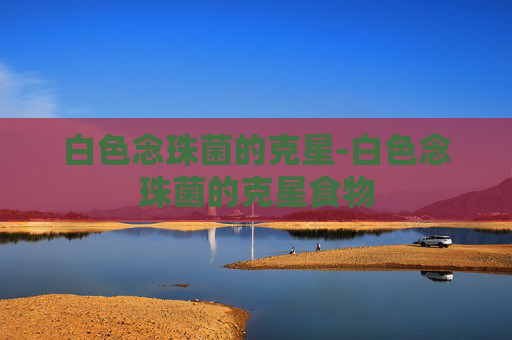 白色念珠菌的克星-白色念珠菌的克星食物