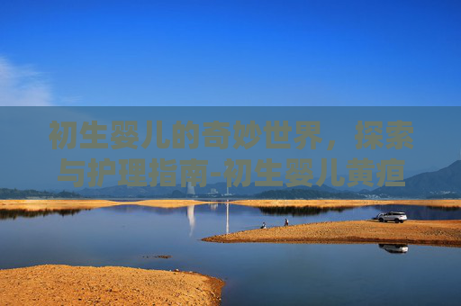 初生婴儿的奇妙世界，探索与护理指南-初生婴儿黄疸正常值