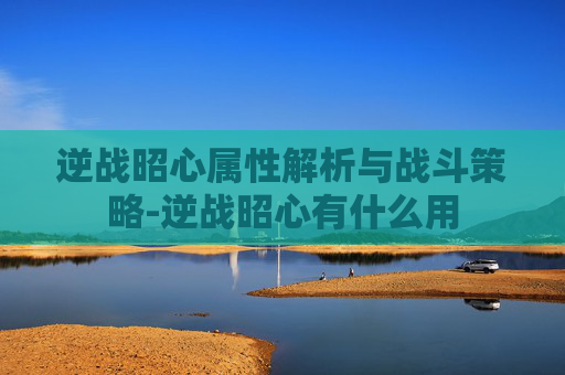 逆战昭心属性解析与战斗策略-逆战昭心有什么用