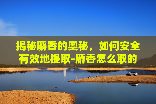 揭秘麝香的奥秘，如何安全有效地提取-麝香怎么取的