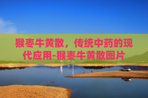 猴枣牛黄散，传统中药的现代应用-猴枣牛黄散图片