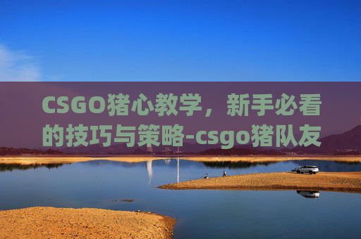 CSGO猪心教学，新手必看的技巧与策略-csgo猪队友