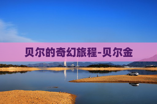贝尔的奇幻旅程-贝尔金