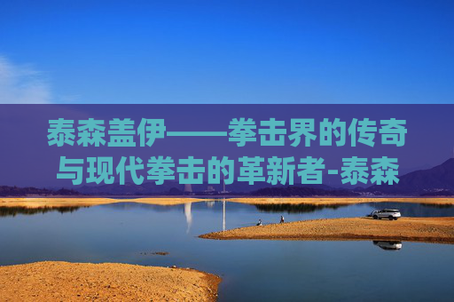 泰森盖伊——拳击界的传奇与现代拳击的革新者-泰森盖伊退役了没