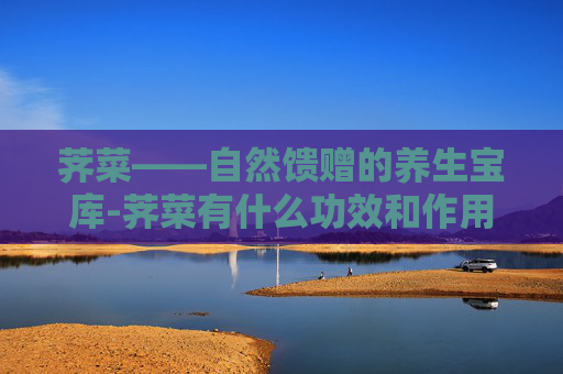 荠菜——自然馈赠的养生宝库-荠菜有什么功效和作用
