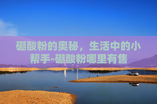 硼酸粉的奥秘，生活中的小帮手-硼酸粉哪里有售