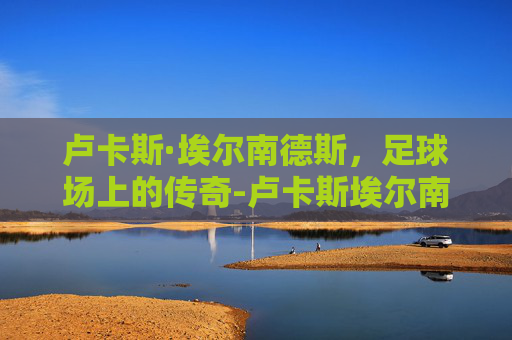 卢卡斯·埃尔南德斯，足球场上的传奇-卢卡斯埃尔南德斯 特奥埃尔南德斯