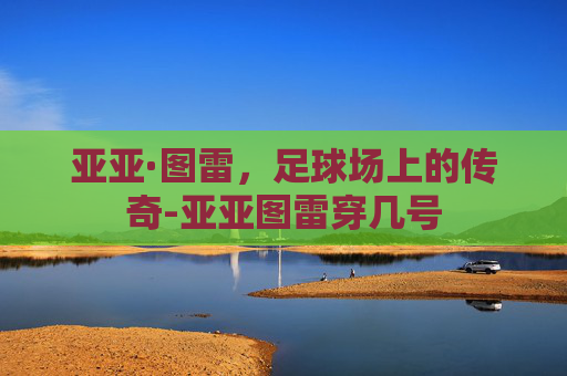 亚亚·图雷，足球场上的传奇-亚亚图雷穿几号