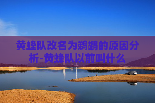 黄蜂队改名为鹈鹕的原因分析-黄蜂队以前叫什么