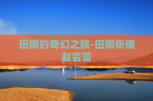 田卿的奇幻之旅-田卿张楠赵芸蕾