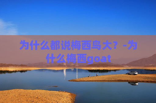 为什么都说梅西鸟大？-为什么梅西goat
