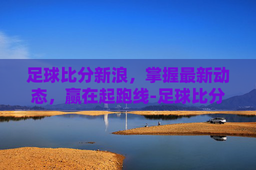 足球比分新浪，掌握最新动态，赢在起跑线-足球比分新浪旧板