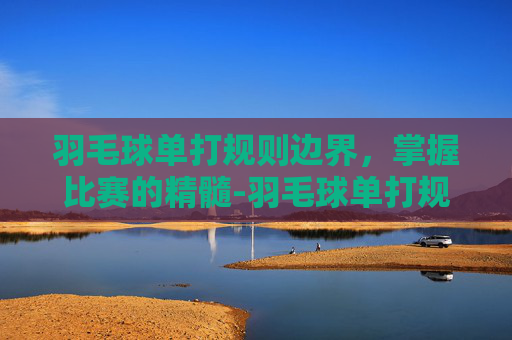羽毛球单打规则边界，掌握比赛的精髓-羽毛球单打规则边界线图实例