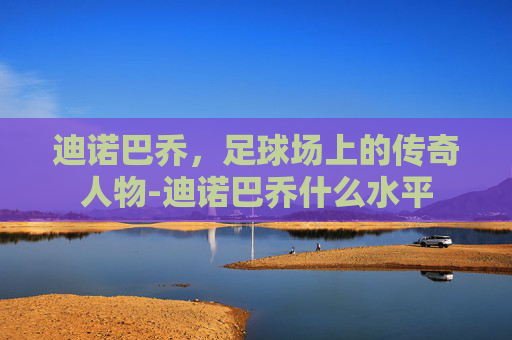 迪诺巴乔，足球场上的传奇人物-迪诺巴乔什么水平