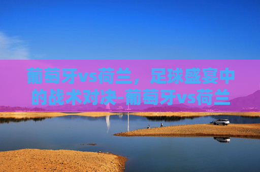 葡萄牙vs荷兰，足球盛宴中的战术对决-葡萄牙vs荷兰冲突事件