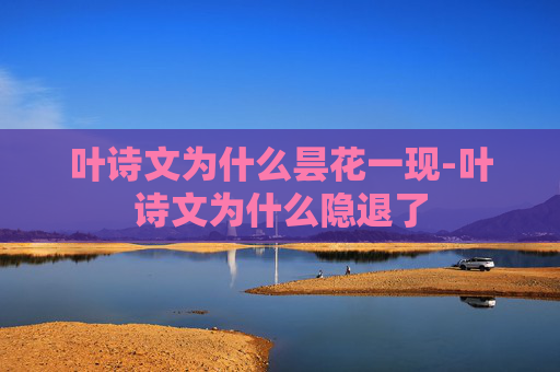 叶诗文为什么昙花一现-叶诗文为什么隐退了