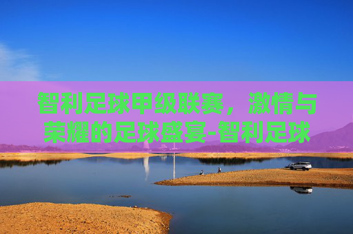 智利足球甲级联赛，激情与荣耀的足球盛宴-智利足球甲级联赛ds