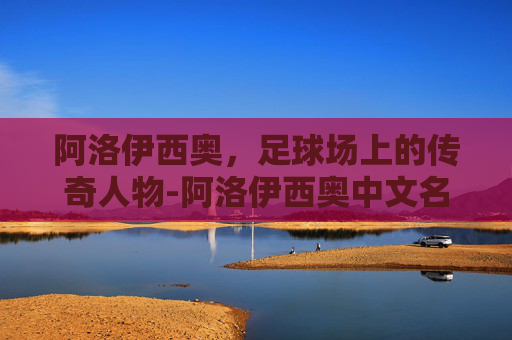 阿洛伊西奥，足球场上的传奇人物-阿洛伊西奥中文名字